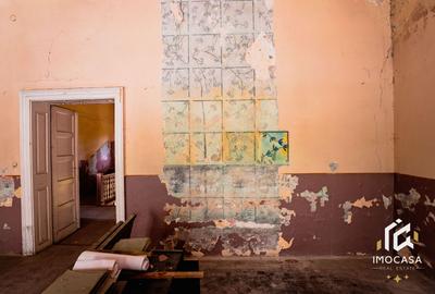 Vila Conac boieresc contelui Fabia 1920 de vânzare Păuliș Arad 2,4 ha - 9