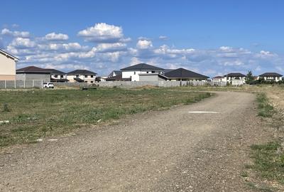 Dezvoltator/Proprietar -  parcele Serena 3 Puz nou acces strada Iezer - 10