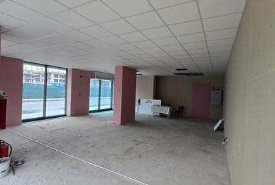 Spatiu Comercial pe Bld. Victoriei vizavi de Parcul Sub Arini - Hotel Mercure - 7