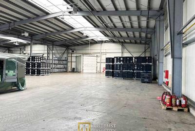 De Inchiriat Hala industria- PREMIUM – 720 mp, Arad | Doc, rampă TIR - 4