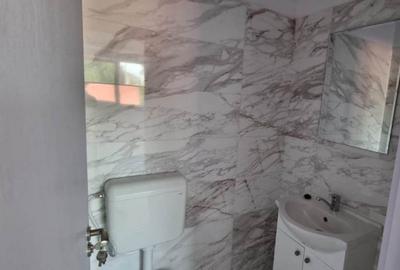 Apartament nou cu 2 camere, Giurgiului- Toporasi - 41