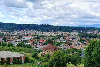 Vanzare Teren  construibil 5700mp Campul Lung Muscel - 14