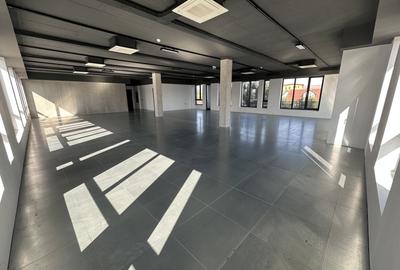 Spatiu de birouri Etaj 1 - 13