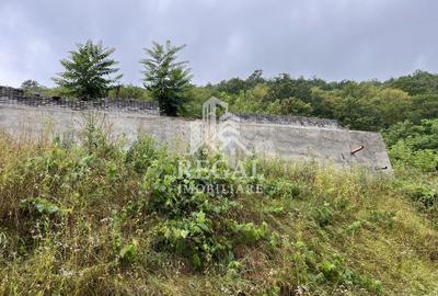 Proprietate cu potențial, într-un cadru natural de vis – 3581 mp teren - 11