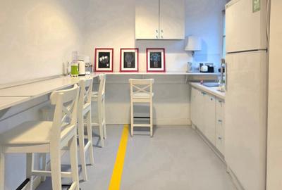 Vila -380mp utili 3 niveluri ideale pentru It/ creatie/ showroom - 7