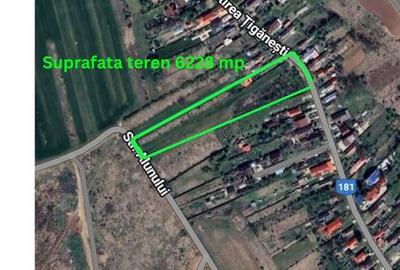 Teren Ciolpani - Loturi teren Ciolpani - constructie casa - 1