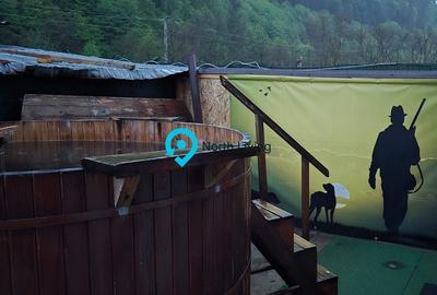 Casa de vacanta | Investitie | zona montana - padure | Arges | Leresti - 9