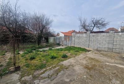 Casa situata in zona Blascovici, pe frumoasa strada Maslinului - 8