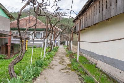 Acasă nu e un apartament. E pe Pietrosu nr. 8, în Zemeș. - 3