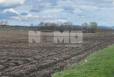 Teren Construcții extravilan de 4800 mp, în Exterior Vest