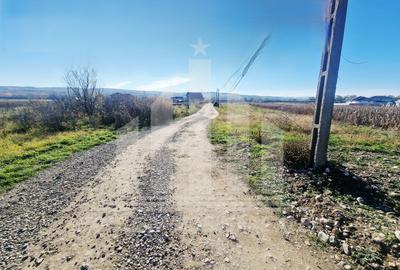 Teren intravilan | De vanzare | 506 mp | Partos - 7