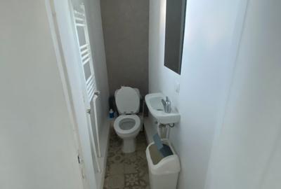 2-BEDROOM APARTMENT FOR RENT – QUIET CENTRAL AREA (CISMIGIU) - 11
