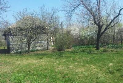 Casa și  teren de vânzare Luica jud Călărași - 4