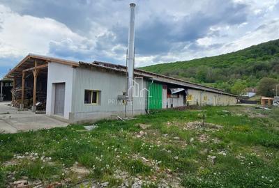 Teren + hale industriale 8785mp + casă–Oportunitate investiție / producție – - 27