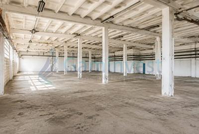 Hala cu rampa de inchiriat in Oradea,Calea Borsului - 2
