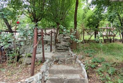 Pensiune in Sasca Montana - 16