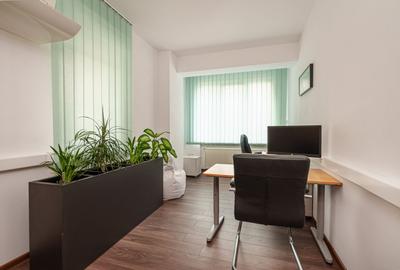 Vila birouri , locatie de exceptie - 6