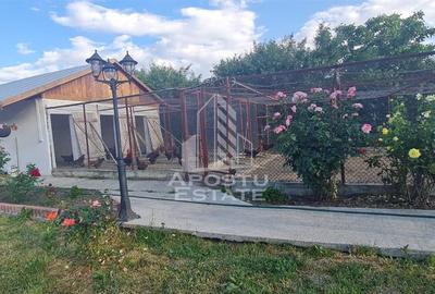 Casa individuala de vanzare cu teren de 2000 mp, Fratelia, Timisoara - 5