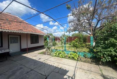 Casa Individuala+Anexa, Sofronea - 1