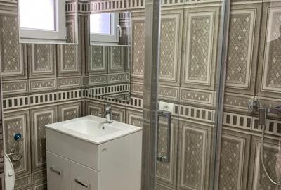 Casa individuala cu 16 camere de inchiriat, zona Sag - 18