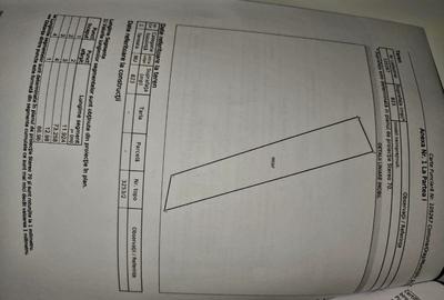 823 mp teren extravilan Sinca Noua/ideal amplasat rulota/cabana - 7