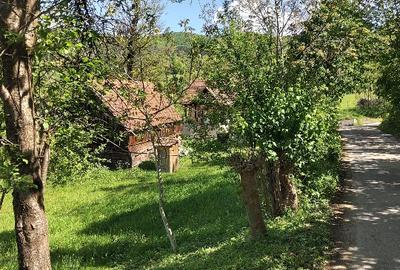 Casă de vânzare lemn tradițională, în Țara Zarandului! - 4