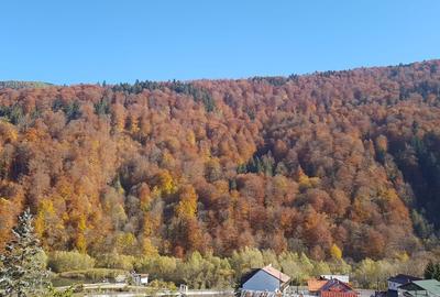 Garsoniera Sinaia Valea Prahovei Parcare Subterana SPA - 8