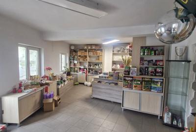 Spatiu comercial 150 mp de inchiriat in Buftea - 5