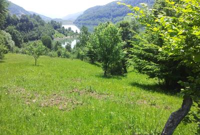 Teren unicat 73000 mp baraj Siriu - 9