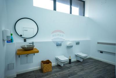 Vanzare Spatiu industrial Clasa A, 895 mp + teren 2.880 mp, Ploiești - 43