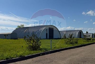 4 HALE INDUSTRIALE INDIVIDUALE SUPRAFATA TOTALA 1.407 mp, Acces DN 1 - 23