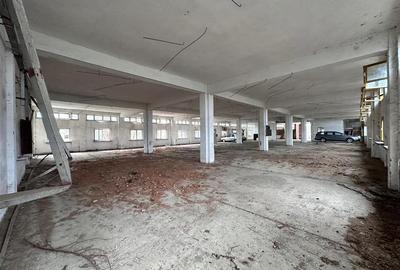 Hala, spatiu comercial, vad, de la 423mp la 1744mp, Vama Albita - 29