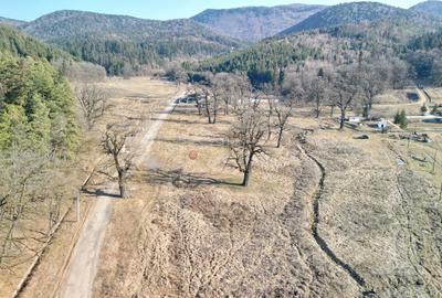 Teren intravilan - 22