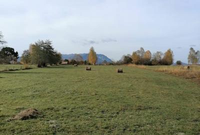 Teren in Sohodol-Bran - 9