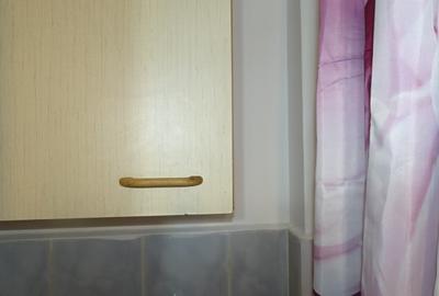 Inchiriez apartament cu 2 camere in Deva, zona Dacia, etaj 3, bloc de 4 etaje, - 10