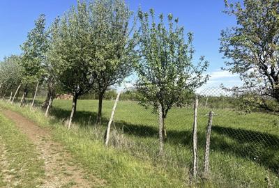 Teren intravilan | 700 mp | ZONA Cetate | Alba Iulia | CONSTRUIBIL - 4