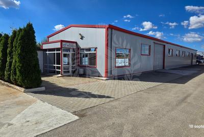 Spațiu industrial, în Mihai Bravu