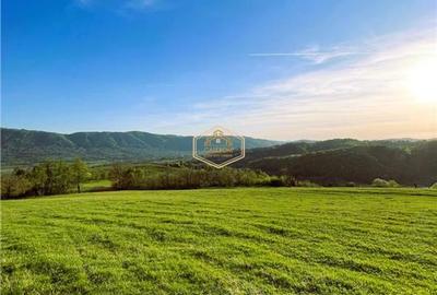 Teren de 9.500 mp in Maramures | Varf de deal, priveliste de pus in rama | Retre - 7