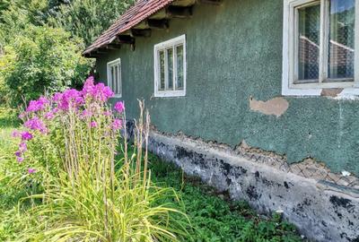 Casa individuala - Moneasa - Jud. Arad - 1