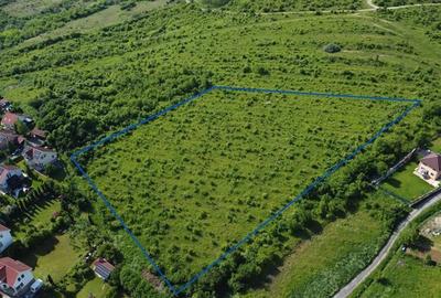 FILM!Oportunitate: 8.500mp, recomandat investitional/dezvoltare,Livezeni, Mures - 21