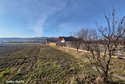 Casă cu anexă și teren generos de 1.600 mp - 10