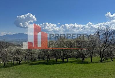 Terenuri Bran - Predelut  Priveliște către Bucegi și Postăvaru - 16