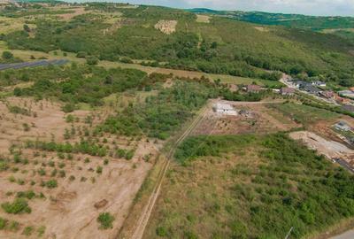 Teren intravilan 1,163mp de vânzare în Săldabagiu De Munte - 8