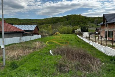 Teren intravilan de vanzare 2900 mp Luncani -Bacau - 4