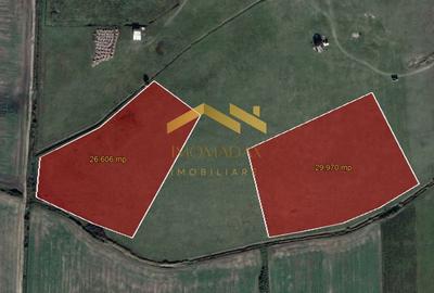 Sacalaz-Zona Industrială II-Disponibilitate Imediata - 1