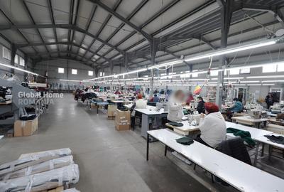 Platformă comercial–industrială cu venit activ || Macin - Tulcea - 3