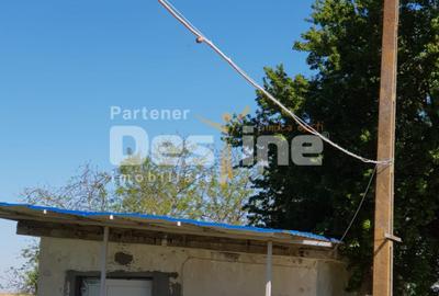 AFACERE LA CHEIE  FERMA DE  PORCI - 8