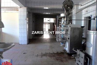 Inchiriere spatiu pentru mica industrie in Ploiesti,semicentral - 2