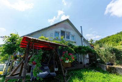 Casă  cu 10 camere in 2 corpuri de cladire (se pot vinde separat) - 14