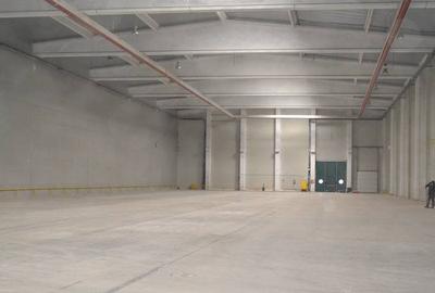 Hala industriala noua langa aeroport - 1